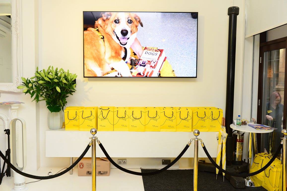 Dogs trust: ‘Dogs and their faithful celebrities’ with a press party